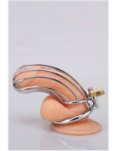 Cage à pénis Banana Shape - XXX Dreamtoys 2