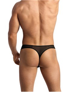 String Eros - Anaïs for Men 2