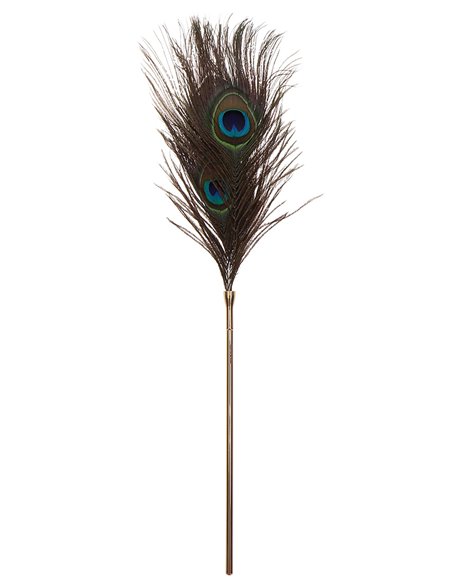 Plumeau à caresses Peacock Tickler - Taboom