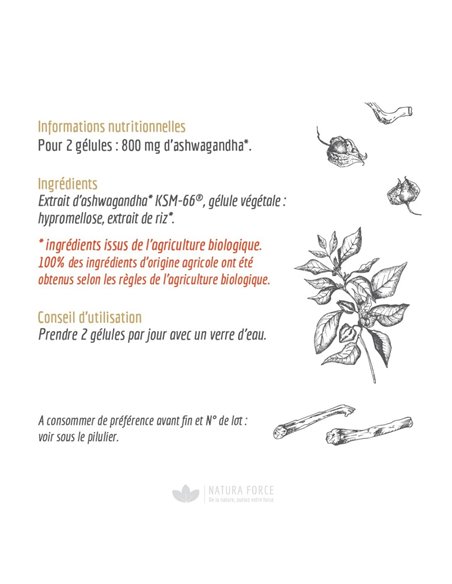 Ashwagandha Bio - gélules - Natura Force