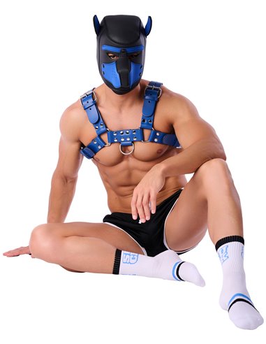 Chaussettes Suck University SneakXX