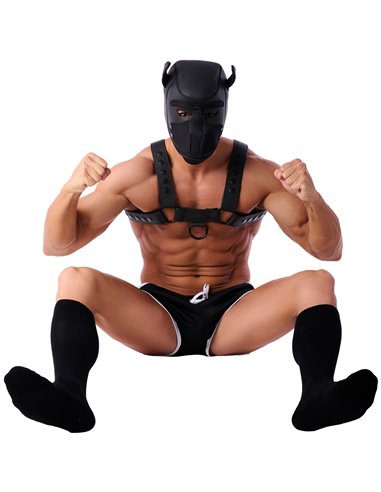 Chaussettes Hautes COLORS SneakXX Noires