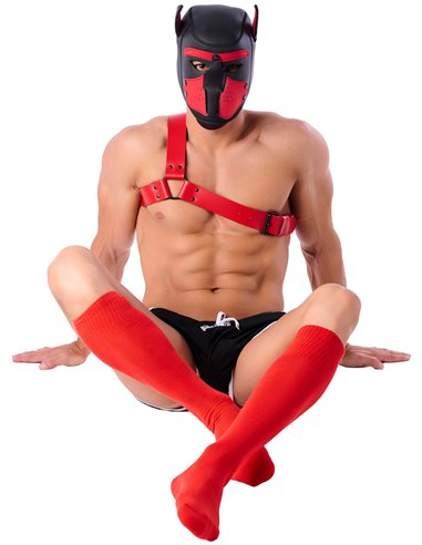 Chaussettes Hautes COLORS SneakXX Rouges