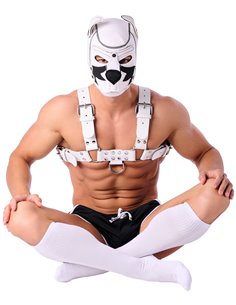 Chaussettes Hautes COLORS SneakXX Blanches 2