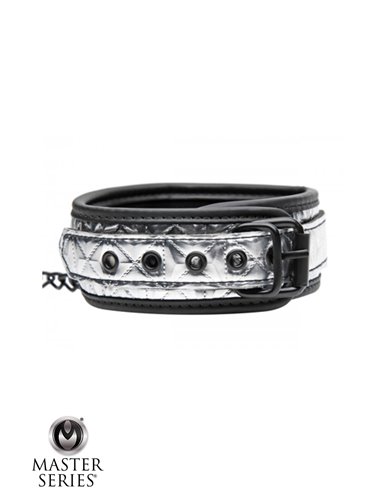 Collier argenté avec laisse - Master Series